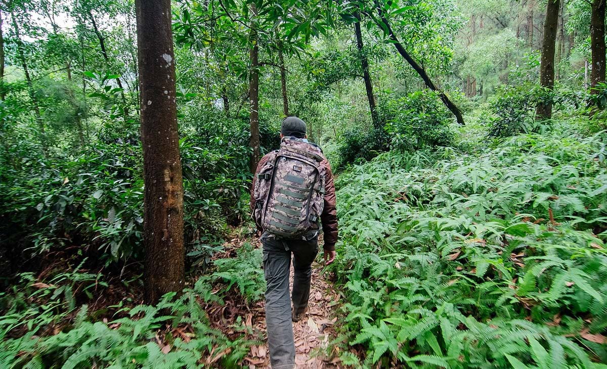 Hiking Trails Near Hanoi